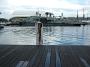 sydney-feb-b 109